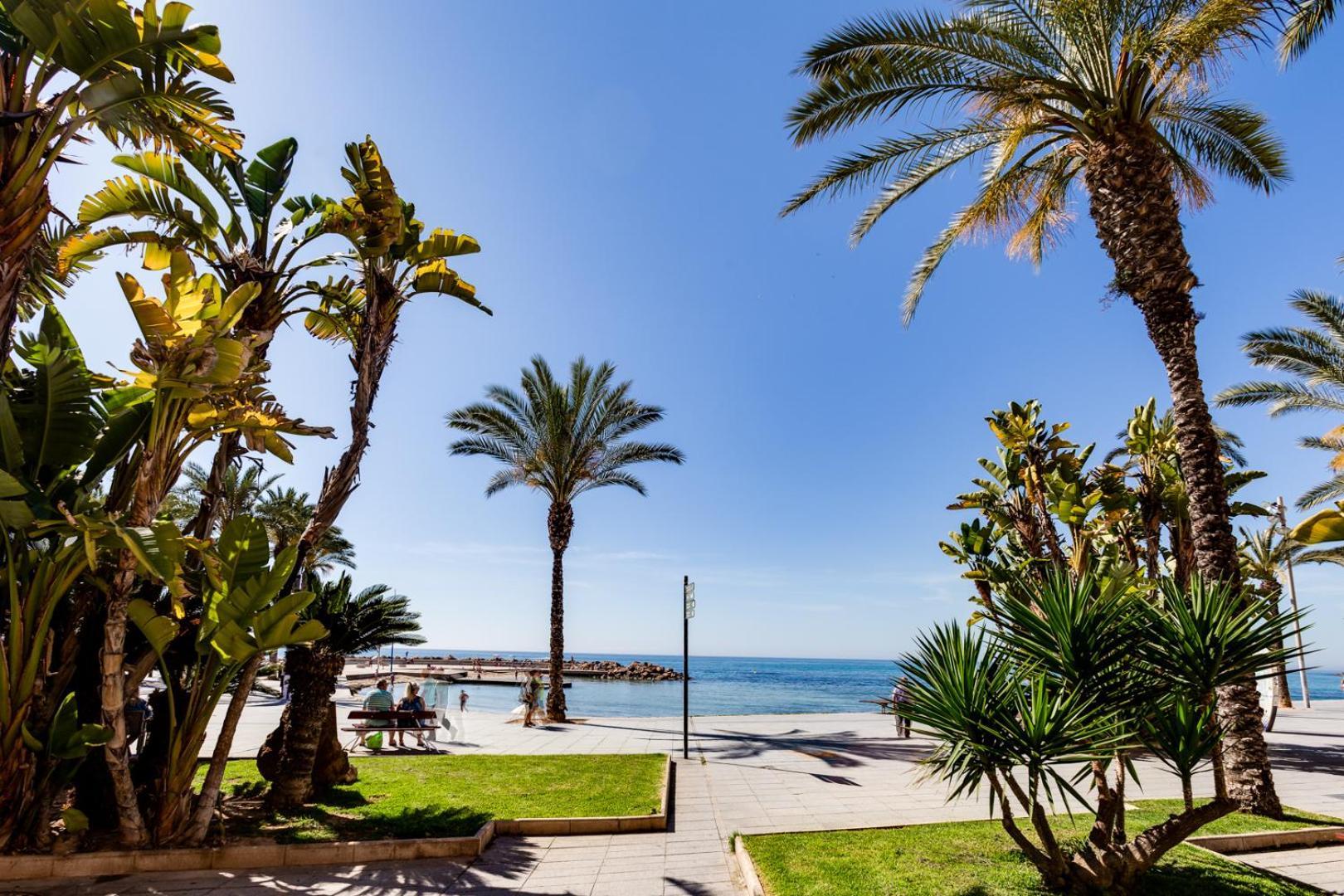Apartamento Ramon Torrevieja Exterior photo